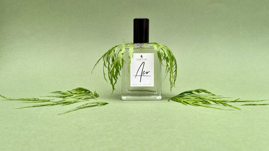 AER eau de parfum