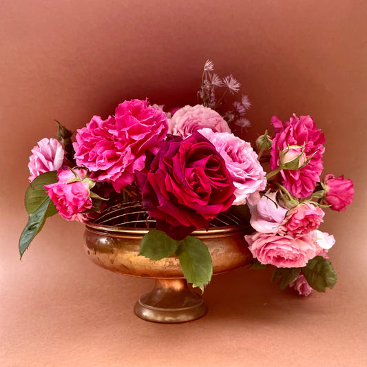 Roses, ORTIR Apothecari