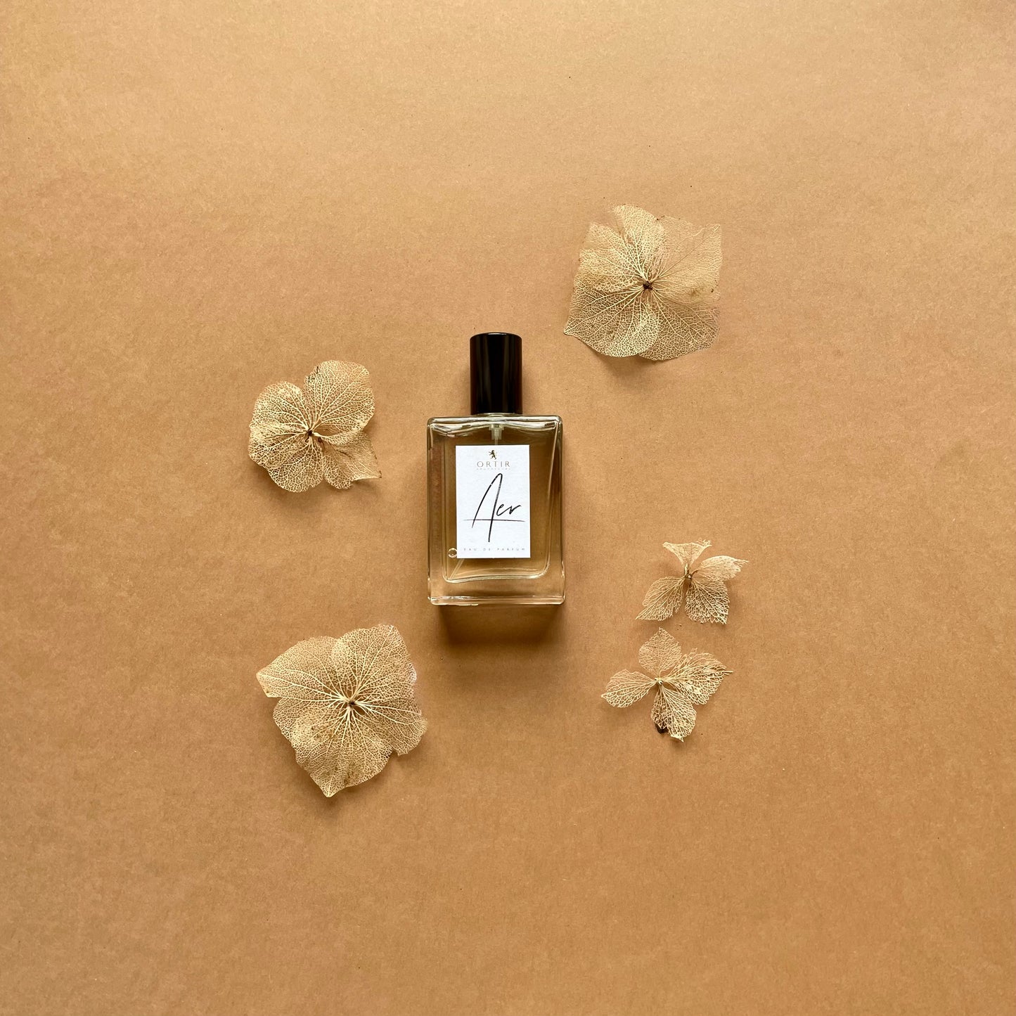 AER EAU DE PARFUM 50ML