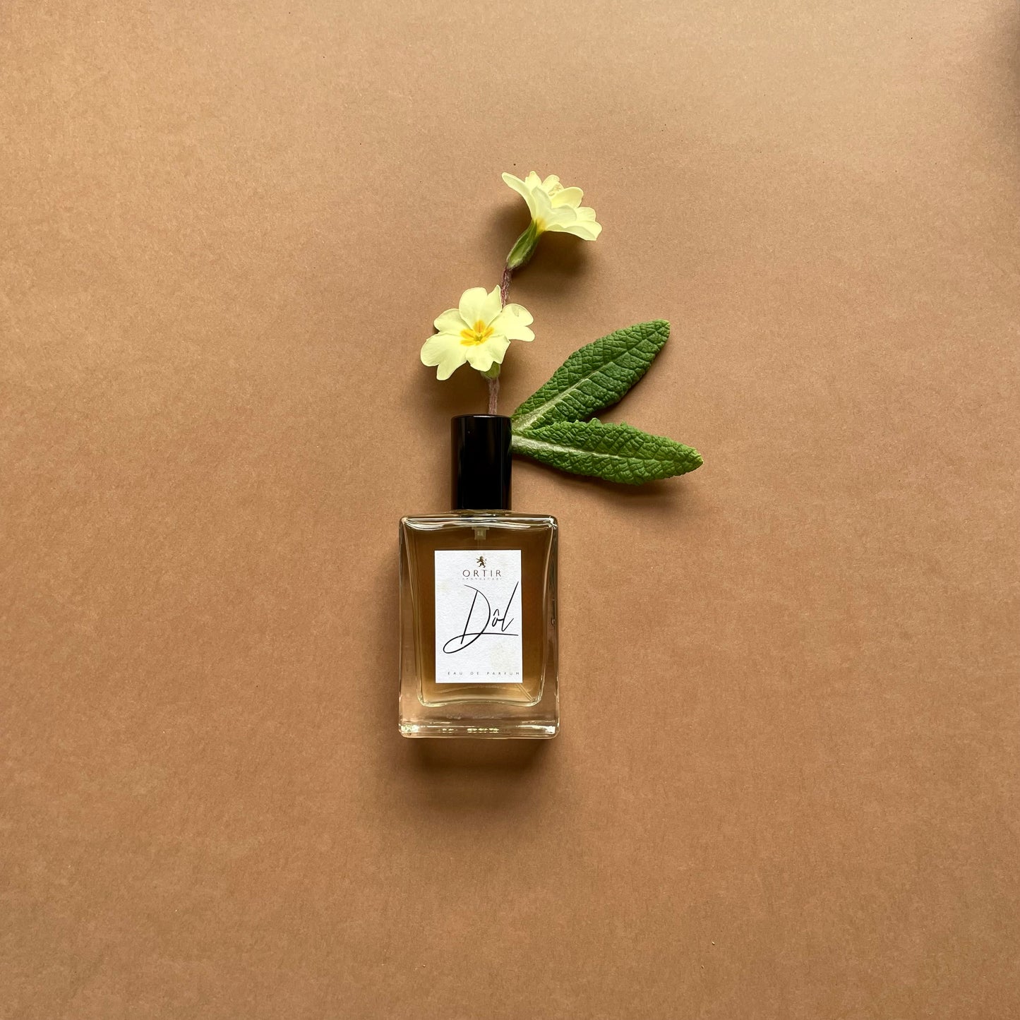 DÔL EAU DE PARFUM 50ML