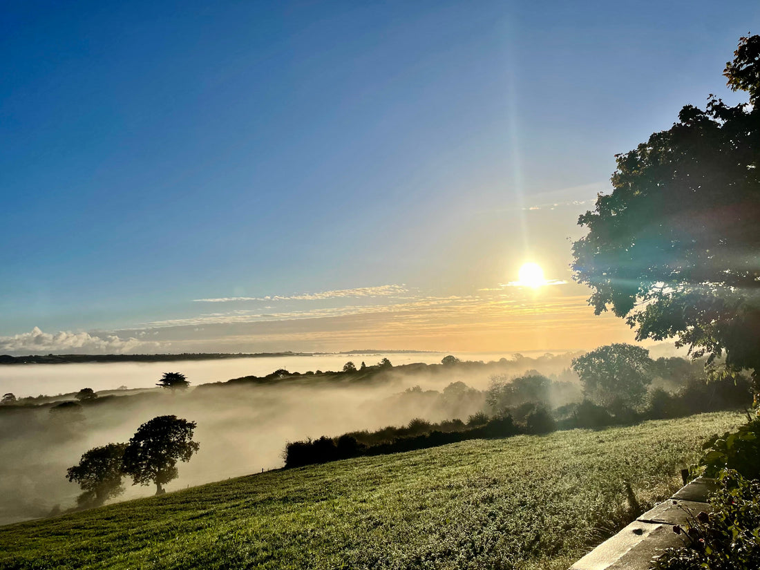 Winter sun, ORTIR Apothecari