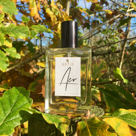 AER eau de parfum in the woods